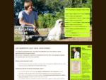Les questions que vous vous posez | Educateur canin agrave; Cholet (49), eacute;ducation de votr