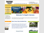 Engall's Nursery - Specialist growers of Citrus, Roses and Olives.