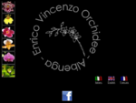 Enrico Vincenzo Orchidee – Albenga