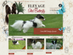 Elevage Iles Butterfly Nimes, Toilettage Chien Chiot Bouillargues Gard 30