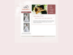 Salon i wypożyczalnia sukien Ślubnych EWA | Suknie ślubne EWA kraków |