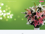 Fab Flowers Queenstown | Unreal Flower Designs | Artificial Flower Arrangement Hire | Silk Flower