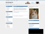 Koty - FelisFan. Pl - portal felinologiczny