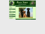 Black Noble - Flatcoated Retriever