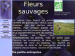 Fleurs sauvages de Laure Barthomeuf - les vertus des plantes, médecine douce et phytothérapie, les