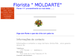 Florista Moldarte - Fundão