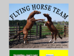 Flying Horse Team