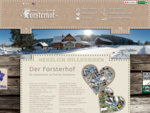 Forsterhof | Appartement, Ferienwohnung und Urlaub am Bauernhof in Ramsau Ort. Nähe Dachstein, Plana