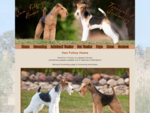 Van Foliny Home, Fox Terrier, Lakeland Terrier, Fox Terriers, Lakeland Terriers, pups, pup, p
