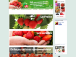 La fraise, sa production, les varieacute;teacute;s , les recettes - Fraise Label Rouge