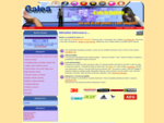 Katalog Galea