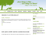 Galgo in Not - Verein zum Schutz und Vermittlung des Galgos