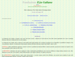 Fondazione Ezio Galiano - Text Homepage