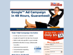 Professional Pay Per Click Advertising On Google