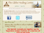 The Glebe Healing Centre, Sydney, Australia Wholistic Therapies Massage Pain Neck Pain