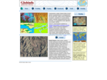 Globinfo - globální GIS, satelitní mapy, mapy stínovaného reliéfu, 3D modely a geoanimace