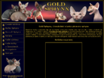 Gold Sphynx | Chovatelská stanice koček plemene Sphynx, bezsrsté kočky