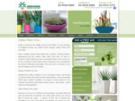 Indoor Plant Hire Sydney Office Plants Hire