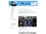 HBCFSLA - Handball Club Fougerolles Saint-Loup-sur-Semouse Aillevillers - Actualités du HBCFSLA