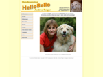 Hundepension Hello Bello - Andrea Reiger - Willkommen