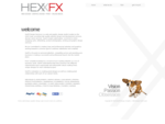 HexFX - Gold Coast Graphic Design | Website Design | Business Cards | FlyersBrochures | Gold Coa