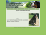 Hodowla Lovita FCI Berneński Pies Pasterski | lubuskie | zachodniopomorskie | hodowla psów | psy