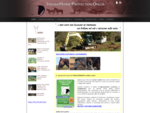 IHP - Italian Horse Protection association - Homepage