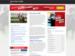 Horse Race Odds | Horse Racing Form Guide and Betting Odds