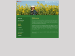 Huile vegetale Vegetable oil producer rapeseed oil palm oil supplier DIN V 51605