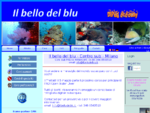Il bello del blu - Corsi Sub Milano - Home page