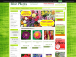 Buy online garden plants Ireland | Online garden centre