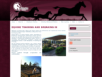 Horse Training Sydney NSW | Natural Horsemanship Trainers | Jarrara Park