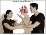 wing chun - Qi Gong - Wu Shu - Kampfkunst - Kampfsport - kung fu - Wien - Selbstverteidigung - Zentr