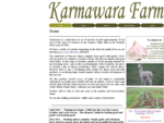 Karmawara Garlic and Alpacas