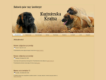 Aktualności - Hodowla psów rasy Leonberger - Kazimierska Kraina