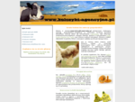 Kolczyki agencyjne, Zasady znakowania bydła, wiń, kóz i owiec