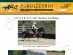 PJ PAINTHORSE Pferdezucht Kollerhof Berikon Schweiz Verkauf Pension Westernreiten