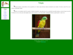 Milan Kubín - chov australských papoušků