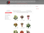 Kwiaty , dostawa kwiatów - Kwiaciarnia internetowa MAK Warszawa Ursus