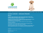 Strona Główna - Labrador Weterynarz Rzeszów