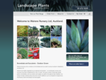 Wairere Nursery Ltd, Auckland Hardy, outdoor grown plants. We stock Bromeliads, Succulents, Aga