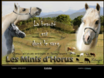 Les Minis d'Horus, élevage de chevaux miniatures américains