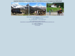 Lesachtal Reiterferien Reiten Tirol Reiterurlaub Reiter Ferien Pferde Noriker Reitercanmp