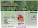 Lilleäri - Lillekuller - Värsked lilled internetist gt; lõikelilled, kimbud, pulmad, matused, pä