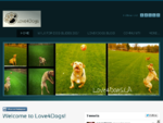 Love4Dogs Pet Services - Love4Dogs - Dog Walking Professionals