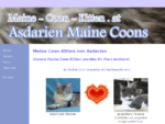 Maine Coon Kitten von Asdarien aus Korneuburg bei Wien | Katzen-Babies mit Stammbaum