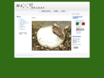 Home page del sito www. maxsnakes. it