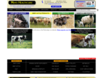 Mayo Healthcare - Animal Healthcare Nutrition Products - Ireland