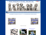 Mondo Dalmata - Allevamento Riconosciuto ENCI FCI - Cuccioli Dalmata Disponibili