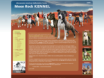Allevamento cani American Staffordshire Terrier - Moon Rock Kennel
